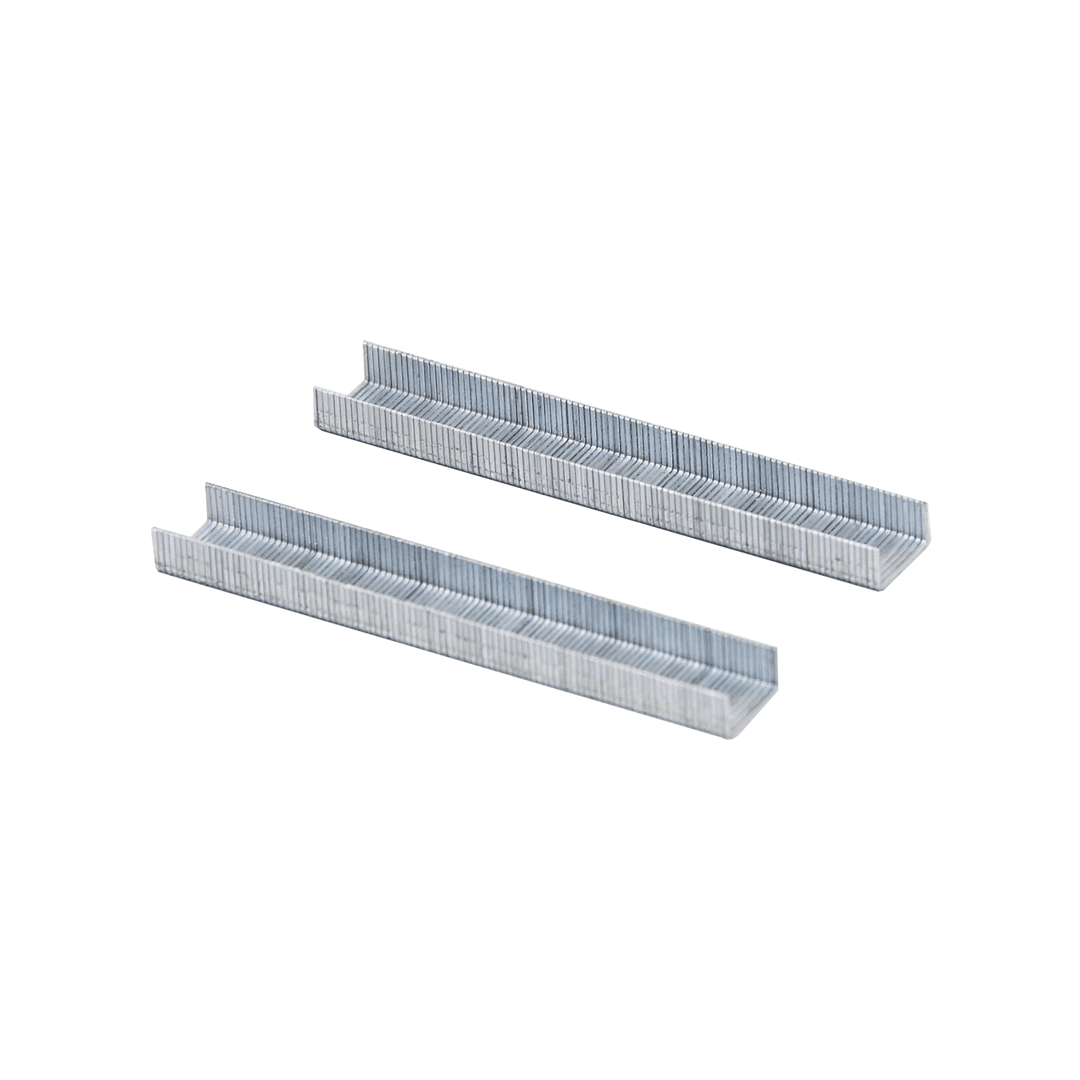 Isi Staples Square